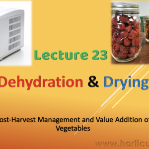 Dehydration & Drying PPT